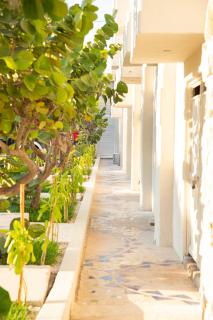 Casa Viento Hotel - 6