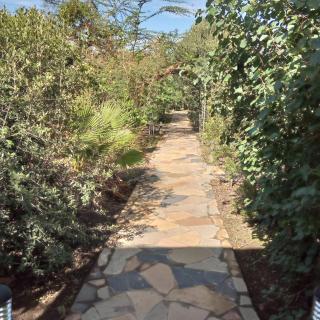 Ol Muteita Lodge - Nakuru - 3