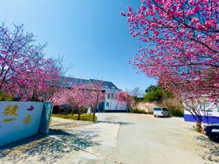 Junyi Landscape Villa - Ren'ai - 9
