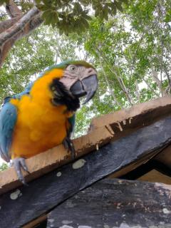 Hotel Alto Amazonas - 1