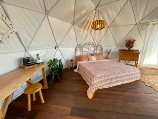 Golden Domes - Cootharaba - 6
