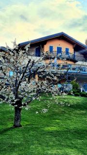 Affittacamere Dolce Sogno - Coredo - 6