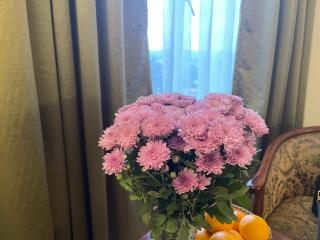Hotel Pegasus Crown - Shillong - 4