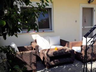 The house in nature SKG - 1