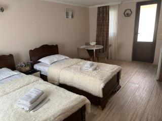 Oldtown Apartments - Mtskheta - 3