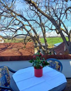 Landgasthof zum SEEHOF - 4