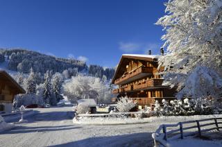 Hotel Bellerive Gstaad - Gstaad - 5