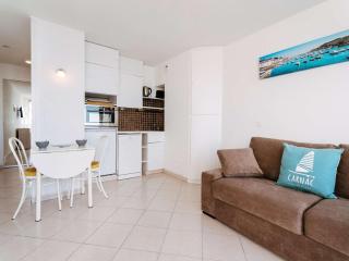 Studio à Carnac - 22m² - Face à la plage - Balcon - Parking privé - FR-1-477-15 - Carnac - 6