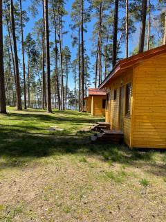Domki i Pole Namiotowe Pod Sosnami - Olsztyn - 8