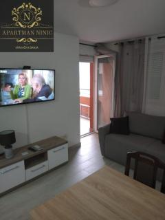 Apartman Ninic - Vrnjačka Banja - 7