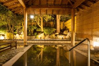 Hotel Hoho "A hotel overlooking the Echigo Plain and the Yahiko mountain range" formerly Hotel Oohashi Yakata-no-Yu - Niigata - 8