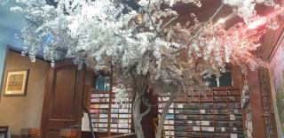 Bandal Book & Stay - Sokcho - 1