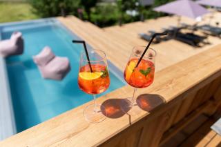 ALMMONTE SENSUM SUITES Boutique Hotel - Wagrain - 6