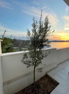 Apartman Mate - Novigrad (Cittanova) - 1