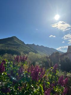 Oldtown Apartments - Mtskheta - 8