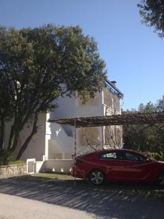 Mandre Jelena Apartman - Mandre - 3