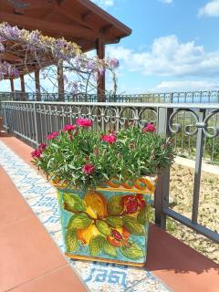 Agriturismo le Campanelle - Sicilia - Cefalù - Lascari - 8