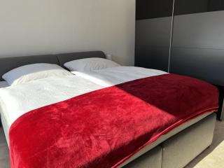 Luxus City Apartment - Baden-Baden - 5