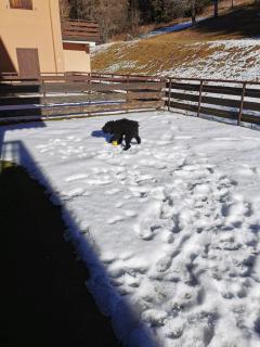 Appartamento Alba - Residence Montesole - Ponte di Legno - 3