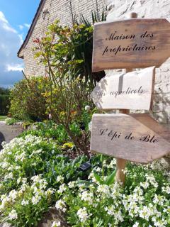 Les Coquelicots - Lacres - 6