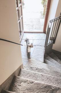 Marta's Sweet Home - Menaggio - 2