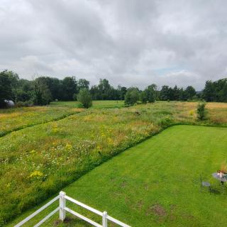 Les Aires en Scènes au bord de l'eau - 6