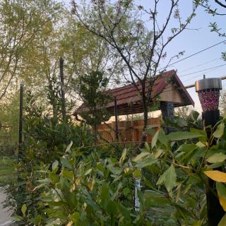 Colchis Guest House - 9