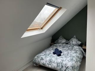 Appartement T3 rénové 60m2 proche centre Colmar - Colmar - 5