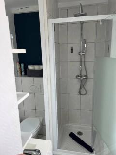 Appartement T3 rénové 60m2 proche centre Colmar - Colmar - 3