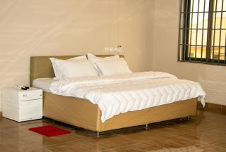 THE GRANGE HOTEL GHANA - Dawhwenya - 8