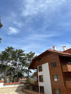 Апартамент Ренета Apartment Reneta - Velingrad - 2