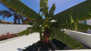 NÁUTICO Boutique Apartments, by Comfortable Luxury - Adults Only - Corralejo - 2