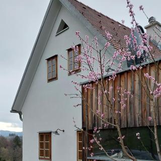 Weingartenhaus Eckberg41 - Eckberg - 5