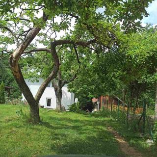 Guest House Bee - Visoko - 5