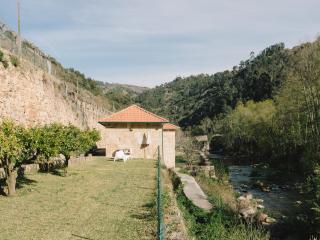Quinta de Recião - Lamego - 0