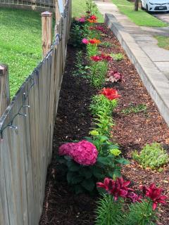 Meticulously Maintained One Bedroom Retreat! - Minneapolis - 1