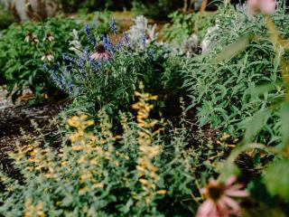 The School House and Garden - family friendly home short drive from Berry, Nowra and Kangaroo Valley) - Camberwarra - 3