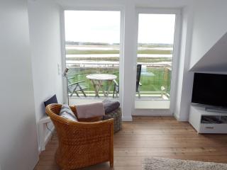 Sterntaucher - Hohwacht - 8