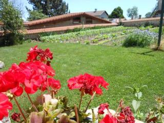 Gîte de charme en Auvergne, cour fermée, jardins privés, BBQ, babyfoot, proche St Jacques de Compostelle - FR-1-582-232 - 4