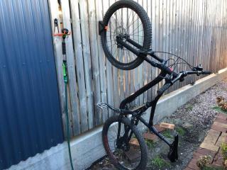 Beach Haven Scamander - 4