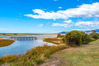 Beach Haven Scamander - 1