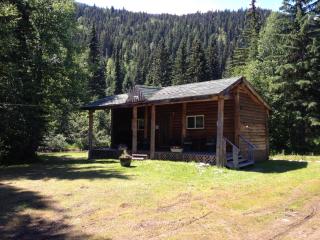 Summit River Lodge & Campsites - Valemount - 6