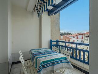 Appartement à 200 m de la plage avec terrasse et parking, au cœur des commerces et restaurants - FR-1-2-426 - Hendaye - 9