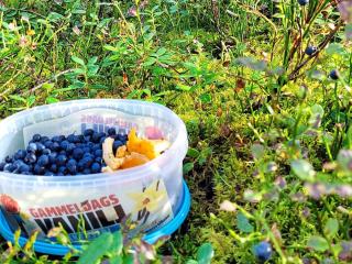 5 person holiday home in GAMLEBY-By Traum - 2