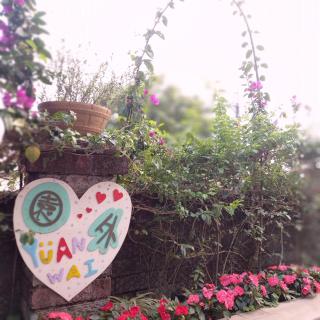 YuanWai - Wujie - 3