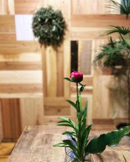 六根ゲストハウス Rokkon guest house - Kyoto - 5