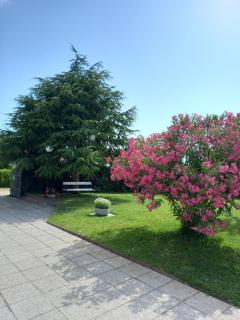 Villa Henne - Velovići - 6