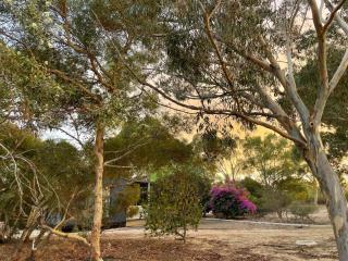 Cosy Cottage in Geraldton - "Moresby Rest" - Bluff Point - 5