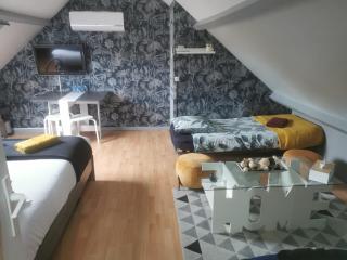 Agréable chambre d’hôte à la campagne - Villefranche-Sur-Cher - 9