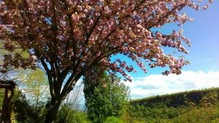 Il Casale di Aquarubra - 4